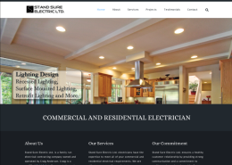 Stand Sure Electric Ltd, Website