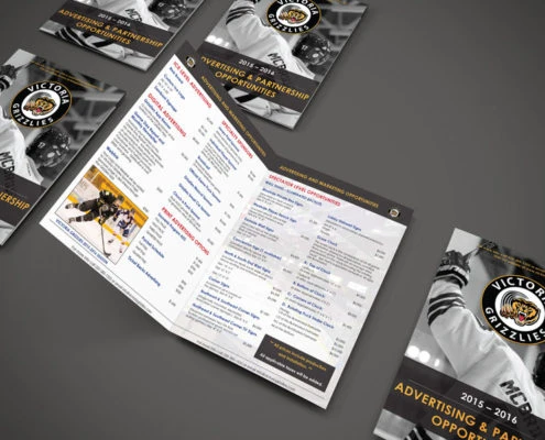 Grizzlies Promotional Brochure